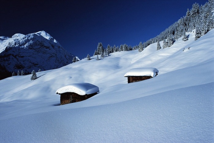 О зимовке пчел и не только
