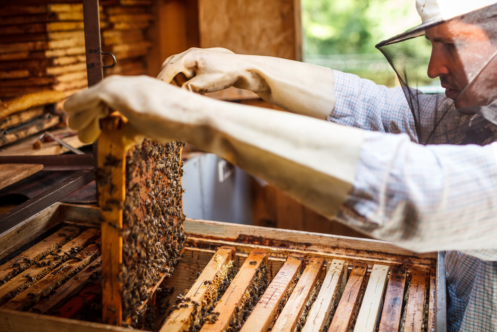 Доклад для конференции 2016 г.