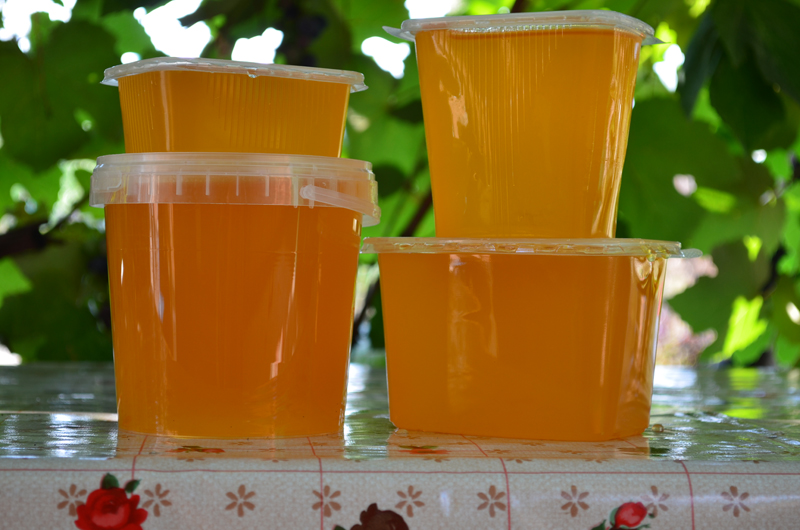 Выступление на тему: «Секреты высоких медосборов»