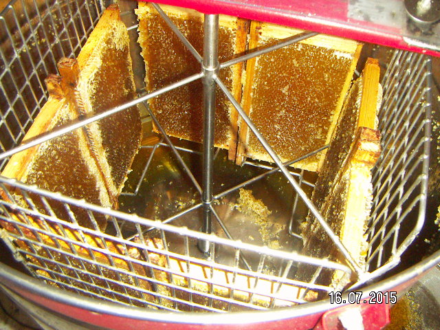 Фотографии пасеки